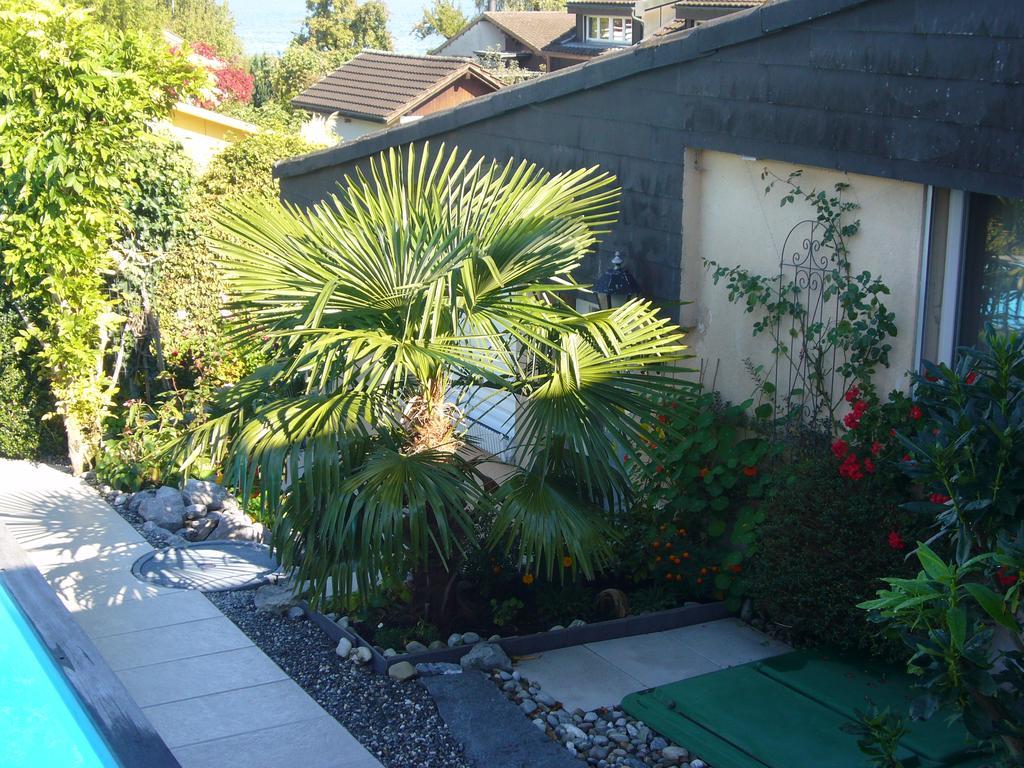 Reni'S Oase Am Bodensee Bed and Breakfast Kesswil Esterno foto
