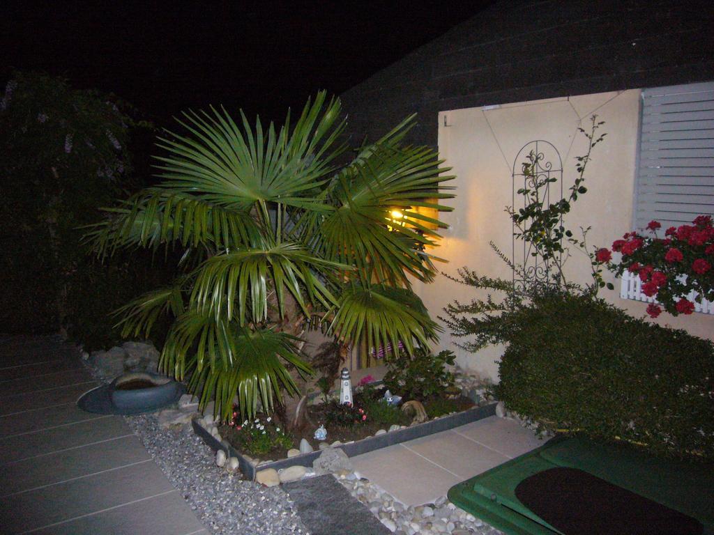 Reni'S Oase Am Bodensee Bed and Breakfast Kesswil Esterno foto