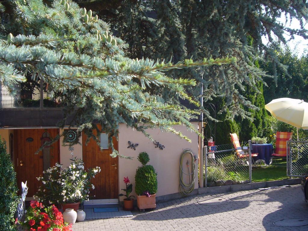 Reni'S Oase Am Bodensee Bed and Breakfast Kesswil Esterno foto
